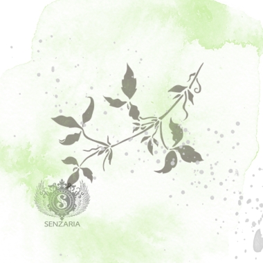 Трафарет - Клематис 2